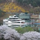 펫크루즈 티스토리