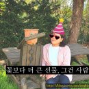 내마음의여행 | 태안 안면도 2박3일 여행 후기, 꽃보다 사람이 남긴 마음의 변화