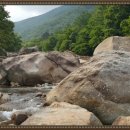 산청부동산공인중개사사무소 이미지