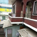 자라나는새싹