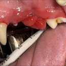 남양주동물병원 이미지