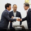 호디자인 이미지