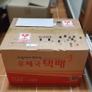 화이트 스포츠 이미지