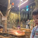 한울타리어린이집 | 주말 휴일에 아이들과 함께 가볼만한 곳! 주렁주렁 동물원