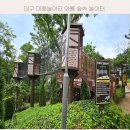 선원초등학교 | 대구 대형놀이터 와룡 숲속 놀이터