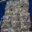 쭈꾸미스타 이미지