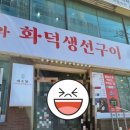 대포항코다리