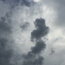 일상의 하루 이미지