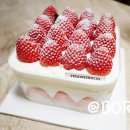 스트로베리32 성수 망고케이크 예약 실패 후기