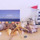 제주에선 쪼끌락 이미지