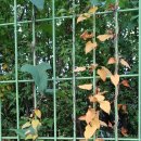 힐링요가(8시) 이미지