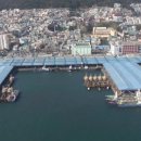 부산공동어시장 이미지