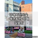 양재시민의숲역 카페 실로암 후기｜애견동반 가능한 휴양지 감성 데이트 카페