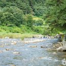 내리계곡로 이미지