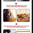 카메참치