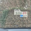 제주도토종흙돼지 이미지