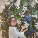 [고양시] 2024 고양국제꽃박람회 다녀온 후기(가정의 달 데이트로 최고!)