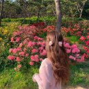 장미동산(좌) 이미지