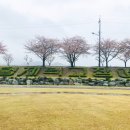 군민체육공원 이미지