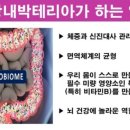 아마레 이미지