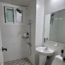 메르베르스파애견펜션 이미지