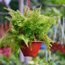 구립직업재활센터 이미지