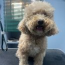 개릿뷰티 이미지