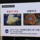 농업회사법인아람농장(주)