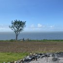 카페보리 이미지