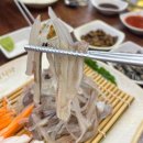 오징어나라 이미지