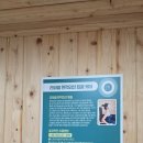 다화브레인 핏케어 | [서울/동대문] <브레인핏 온열&amp;뇌파> 온열테라피 후기 ♨️ | 허브티+단백질쉐이크+온열테라피 3종세트...