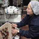 에버그린에버블루협동조합 이미지