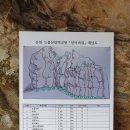 인어루트 이미지
