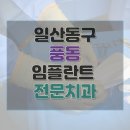 연세엘치과의원 | 고양시 일산동구 풍동 치과 임플란트 비용 가격 후기 잘하는 병원 10곳 총정리