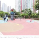장안47 티스토리