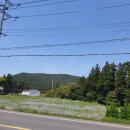 성읍리-24 이미지