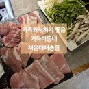거북이 동네 | 거북이동네ㅡ해운대재송점