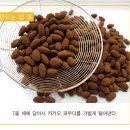 아망드 이미지