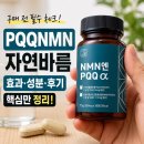 자연바름 | PQQ NMN 자연바름 성분 효과 복용법 구매 전 반드시 확인 필수!