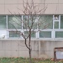 금동 경로당 이미지