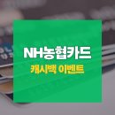 신용PC | 농협카드 추천 28만원 캐시백 신용카드 발급 카카오페이 응모 방법