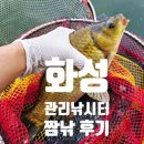 월척낚시터 | 6월 15일 주말 짬낚기 - 낚시 장비가 없어도 낚시가 가능한 화성 관리낚시터 (낚시대 무료 대여)
