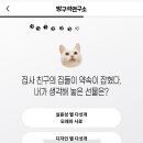 별다섯연구소 이미지