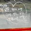 제주도 한 달 살기 후기/제주 게스트하우스 스텝 후기, 장단점 구하는 방법 /게하 고르는 기준 꿀팁