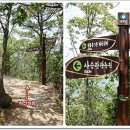 월류봉농원 이미지