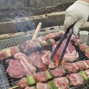 바이오켐 | 바베큐 후 캠핑화로대 청소, 독일산 기름때 세제 바이오켐 사용 후기