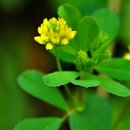 애기등 공원 이미지