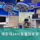 해운대 24시 동물의료원 | 부산24시동물병원 해운대24시동물의료원 24시간 진료 가능