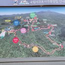한라산둘레길 돌오름길 | 한라산둘레길2구간+3구간(돌오름길+산림휴양길)