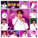 꽃다운 스타뉴스